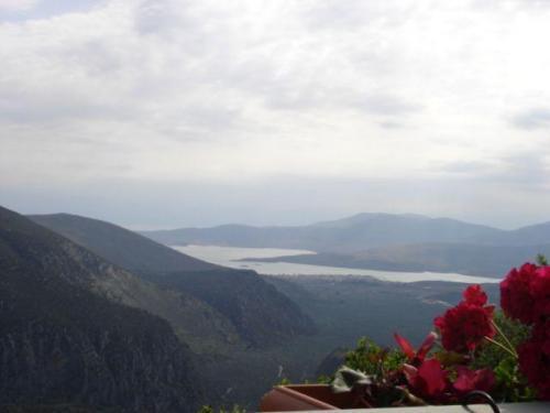 Sun View Guesthouse Делфи Екстериор снимка